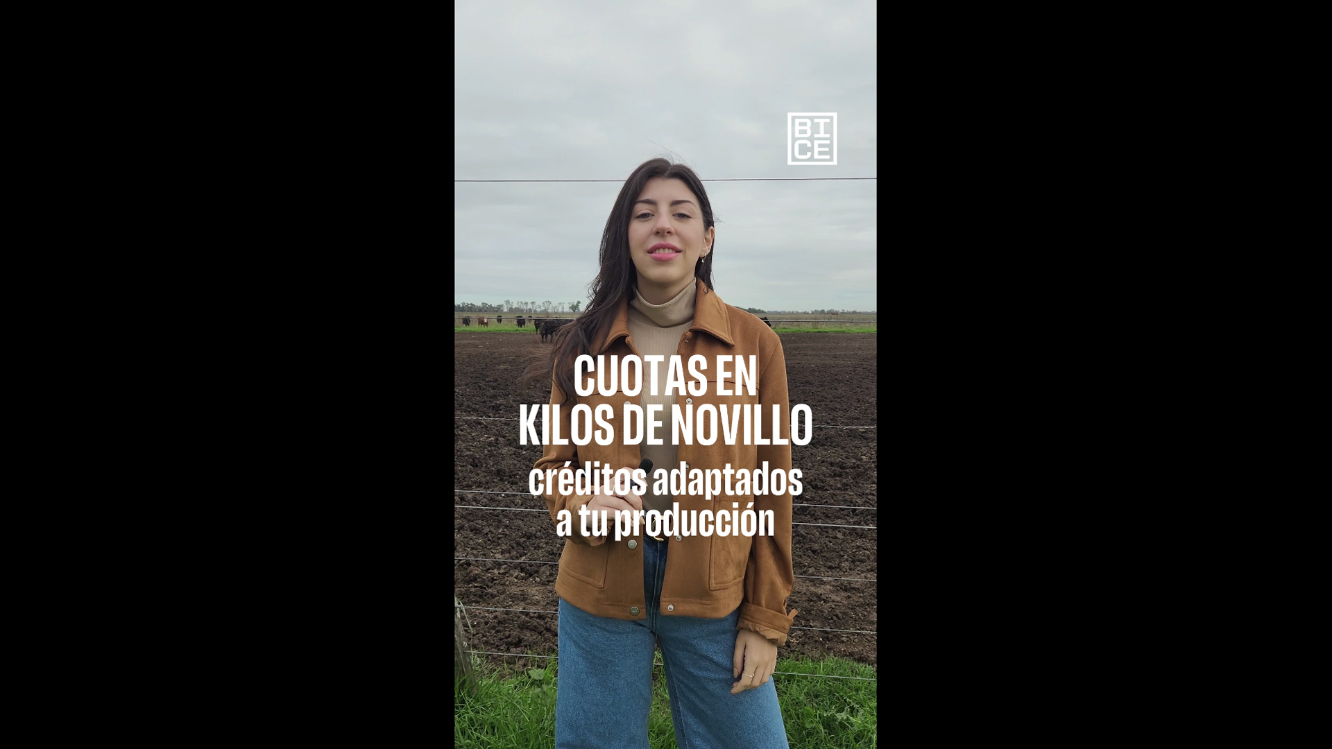 Cuotas en Kilos de Novillo